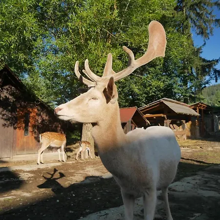 Obora 3*